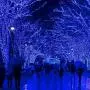 VTECHOLOGY Christmas String Lights, 33FT 100 LEDs Indoor String Lights 8 Modes with End-to-End Plug Fairy Lights Decoration for Indoor Outdoor, Blue (Clear Wire)
