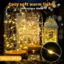 6 Pack Fairy Lights Battery Operated 7ft 20 LED Mini String Lights Twinkle Lights Silver Wire Firefly Starry Lights for Mason Jars Wedding Party Christmas Centerpiece Table Decorations, Warm White 6 Pack Fairy Lights Battery Operated 7ft 20 LED Mini String Lights Twinkle Lights Silver Wire Firefly Starry Lights for Mason Jars Wedding Party Christmas Centerpiece Table Decorations, Warm White