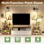 Plant Stand Indoor with Grow Lights, 8 Tiered Plant Shelf, 63" Tall Stand for Indoor Plants Multiple, Metal Plant Flower Holder, Plant Rack for Home, Patio, Balcony
