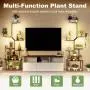 Plant Stand Indoor with Grow Lights, 8 Tiered Plant Shelf, 63" Tall Stand for Indoor Plants Multiple, Metal Plant Flower Holder, Plant Rack for Home, Patio, Balcony