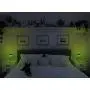 Tipsy Umbrella Cactus Shaped Mason Jar Light - Cactus Decor / Cactus Room Decor /Cactus Lamp (Single)