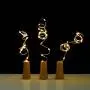 Dreamworth Set of 12 Wine Bottle Cork Lights - 39inch/1m 10 LED Silver Wire Lights String Starry LED Lights for Bottle DIY, Party, Decor, Christmas, Halloween, Wedding or Mood Lights(Warm White) Dreamworth Set of 12 Wine Bottle Cork Lights - 39inch/1m 10 LED Silver Wire Lights String Starry LED Lights for Bottle DIY, Party, Decor, Christmas, Halloween, Wedding or Mood Lights(Warm White)