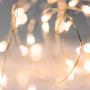 Torre & Tagus Lucent 20 Count 7 Foot Micro LED Light String, Warm White, AA Battery