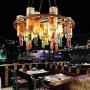 Lunir 15 LED Solar Wine Bottle Lights with Cork String Light for Wedding Party Dec Outdoor String Lights