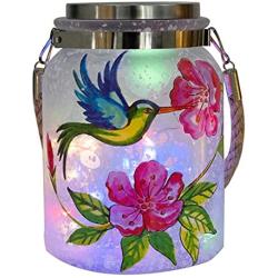 DREAMSOUL Upgraded Solar Lantern Lights Mason Jar Lid Lights Hummingbird Colorful LED String Garden Firefly Lights Waterproof Outdoor Hanging Lights Table Lights for Patio Home Yard Party Decor