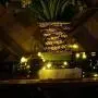 Dreamworth Set of 12 Wine Bottle Cork Lights - 39inch/1m 10 LED Silver Wire Lights String Starry LED Lights for Bottle DIY, Party, Decor, Christmas, Halloween, Wedding or Mood Lights(Warm White) Dreamworth Set of 12 Wine Bottle Cork Lights - 39inch/1m 10 LED Silver Wire Lights String Starry LED Lights for Bottle DIY, Party, Decor, Christmas, Halloween, Wedding or Mood Lights(Warm White)