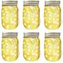 LiyuanQ Hanging Solar Mason Jar Lid Lights, 6 Pack LED String Fairy Lights Solar Lanterns Table Lights, 6 Hangers and Jars Included, Great Outdoor Décor for Lawn Patio Garden Yard (Warm White)