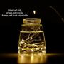 LED Fairy String Lights, 12-Pack 20 Micro Lights On Silver Copper Wire ( Batteries Include) for DIY Wedding Centerpiece, Mason Jar Craft, Christmas Tree, Garlands, Party Decoration (Warm White)