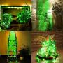LRCXL Set of 10 Wine Bottle Cork Lights - 18inch/ 47cm 10 LED Silver Wire Lights String Starry LED Lights for Bottle DIY, Halloween Party, Christmas, Wedding Decoration (Green)